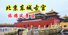 美女淫水在线视频免费观看中国北京-东城古宫旅游风景区